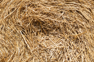 close up of hay bale