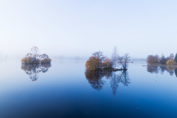 Soomaa National Park during a autumnal flood also known as the Fifth season in a foggy morning in Estonian nature, Northern Europe.	