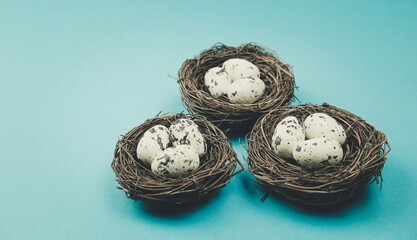 bird eggs for Easter holidays.