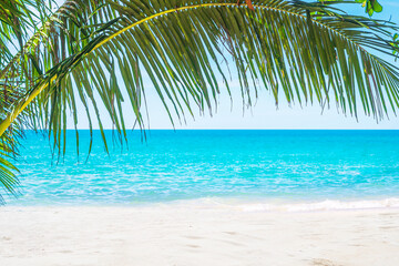 Plakat tropical beach with coconut palms tree and turquoise sea. 
