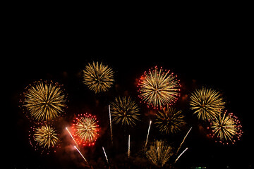 Beautiful multi color fireworks explosions lighting sky over trees silhouette and over an...
