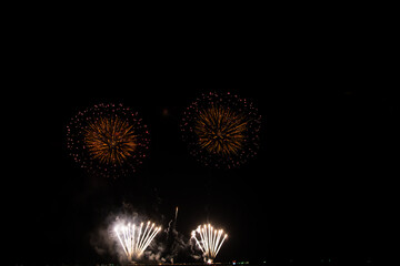 Beautiful multi color fireworks explosions lighting sky over trees silhouette and over an illuminated,colorful fireworks celebration concept