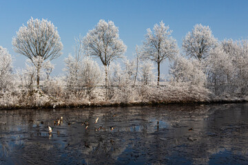 Winter am Küstenkanal bei Oldenburg