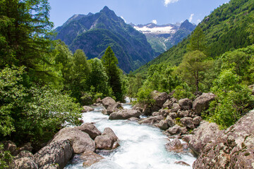 Fototapeta na wymiar Quick river and mountain landscape