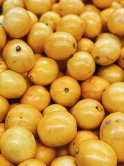 set of lemons for food patterns