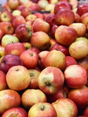 set of apples. fresh apples harvest for food patterns 
