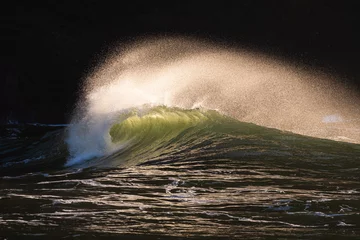 Schöne, kraftvolle, hintergrundbeleuchtete Ozeanwelle, die an der Küste von Washington im pazifischen Nordwesten zusammenbricht © Nicholas Steven