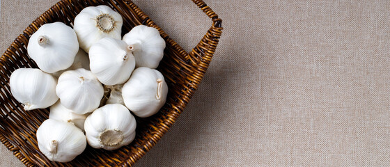 Garlic Cloves and Bulb in vintage organic woven basket on wooden background. spice is an herb that is grown around the world.