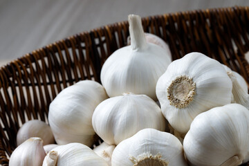 Garlic Cloves and Bulb in vintage organic woven basket on wooden background. spice is an herb that is grown around the world.