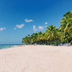Obraz premium beach with palm trees