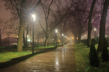 A public park in Odessa called Greek on a rainy foggy night.