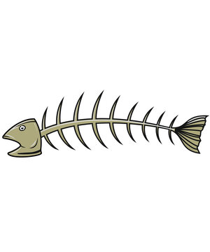 Fischgräte, Illustration