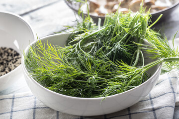 White bowl full of freshly picked dill