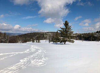 Beautiful scenic view in golf course on hill, after fresh snow storm.  Winter scene in upstate New York 