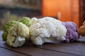 my life trought coloured cabbages