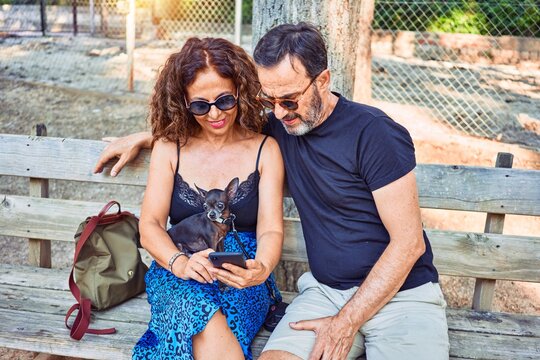 Middle age couple smiling happy using smartphone. Sitting on the bench with chihuahua dog at park