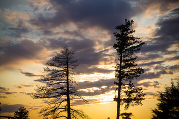 sunset between two trees in Nebraska 