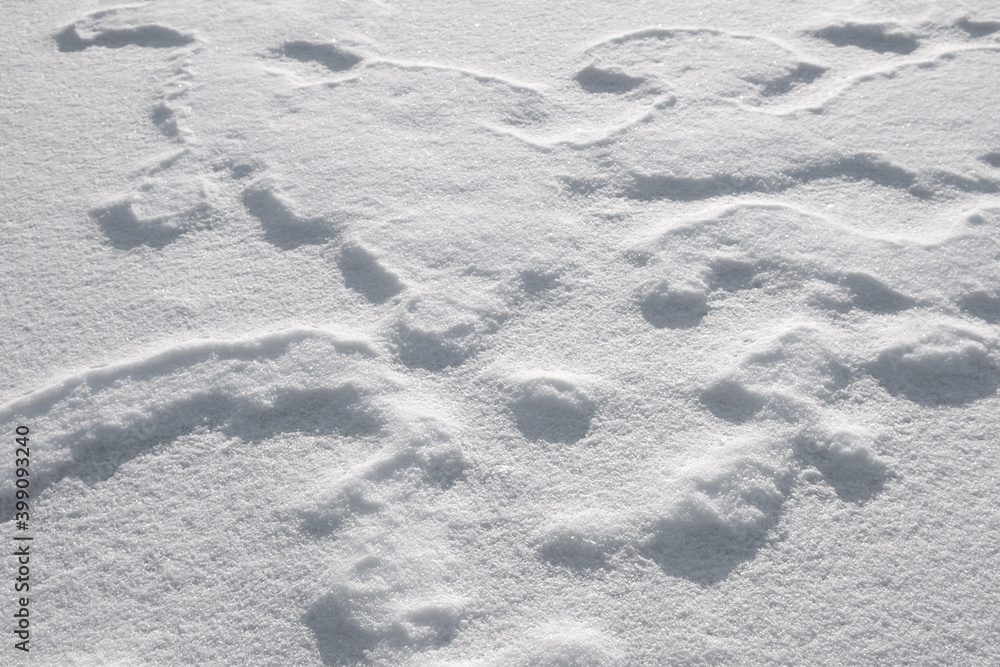 Poster white fine ice and snow surface texture background texture, winter background