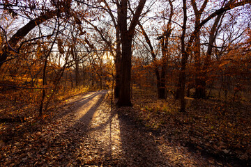 Autumn scene landscape in Nebraska