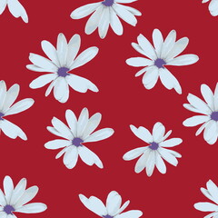 seamless pattern with flowers,white flowers on  red background.