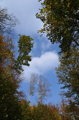 Wałbrzych Mountains, Poland