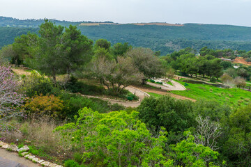 Fototapeta na wymiar Landscape of the Hai-Bar Carmel Nature Reserve