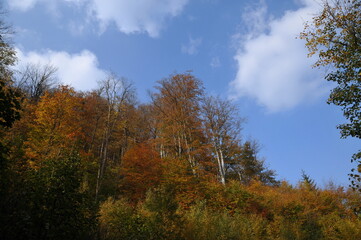 Wałbrzych Mountains, Poland