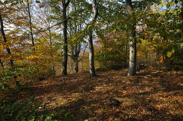 Wałbrzych Mountains, Poland