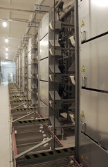 factory interior, light industry, farm and household. Chicken and eggs, fresh and environmentally friendly,European standards