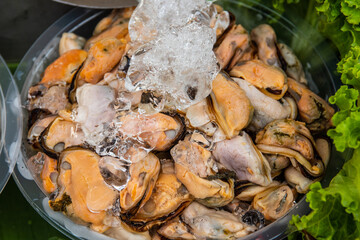 Mussels from Thailand Southeast Asia