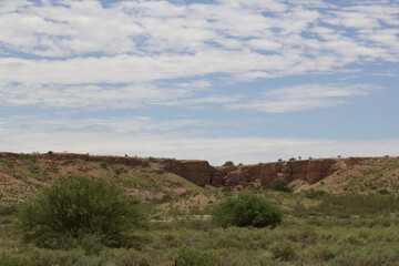 Kalahari nach der Regenzeit