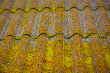 slate requiring repair. moss on old slate