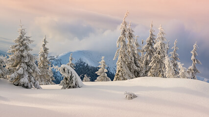 Fototapeta na wymiar Fantastic orange winter landscape in snowy mountains. Dramatic wintry scene with snowy trees. Christmas holiday concept. Carpathians mountain, Ukraine.