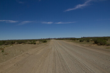 Fototapeta na wymiar Kalahari nach der Regenzeit