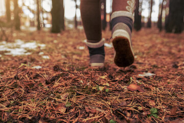 ground on the background walking in the woods