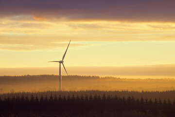 Wind power turbines in the countryside at sunset. West Lothian, Scotland, United Kingdom © George