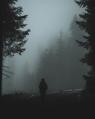 Wanderer*in im Wald bei Nebel