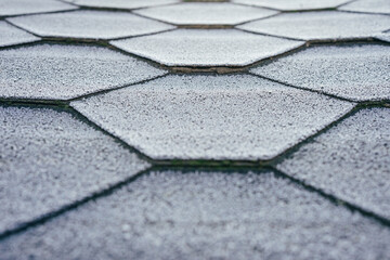 Obraz premium the texture of the roof is covered with frost