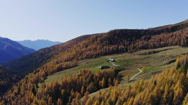 solitary malga surrounded by spruces on valley in lagorai chain, trentino, italy