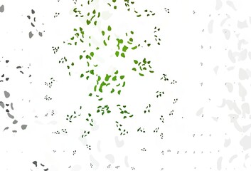 Light Green vector backdrop with abstract shapes.
