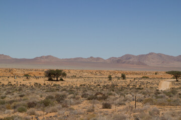 Fototapeta na wymiar Auf dem Weg nach Lüderitz, Namibia