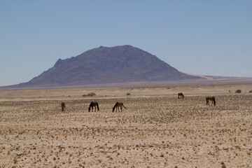 Auf dem Weg nach Lüderitz, Namibia
