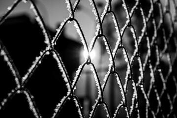 metal mesh covered with snow frost