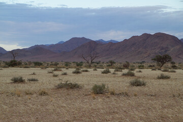 Fototapeta premium Gegend um Little Sossus Lodge in Namibia