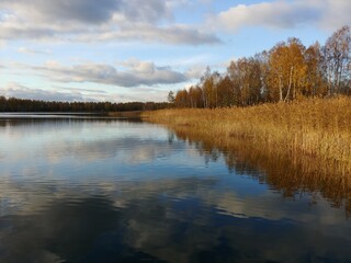 autumn landscape with lake