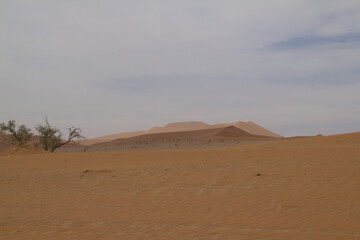 Deadvlei, das Tal des Todes in Namibia