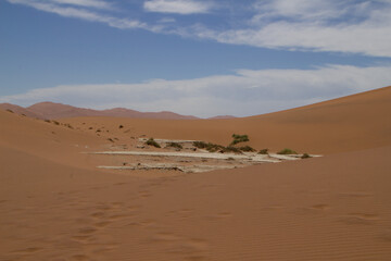 Fototapeta na wymiar Deadvlei, das Tal des Todes in Namibia