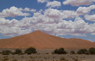 Fototapeta na wymiar Deadvlei, das Tal des Todes in Namibia