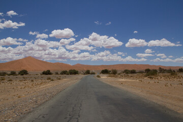 Fototapeta na wymiar Deadvlei, das Tal des Todes in Namibia