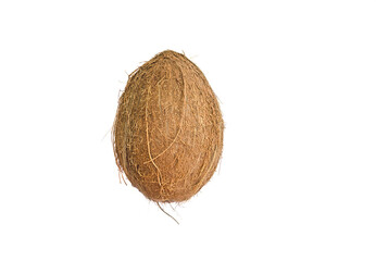 Coconut on white background